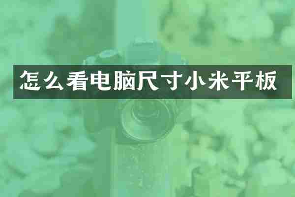 怎么看电脑尺寸小米平板