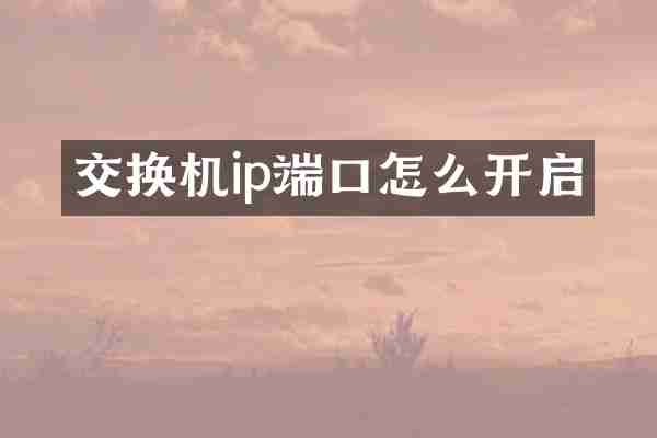 交换机ip端口怎么开启
