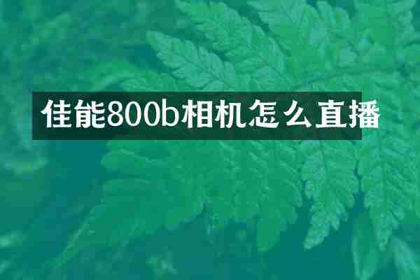 佳能800b相机怎么直播