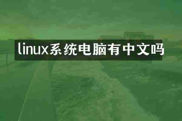 linux系统电脑有中文吗