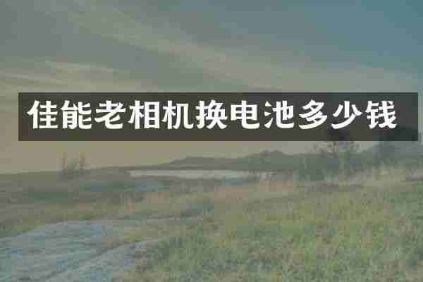 佳能老相机换电池多少钱