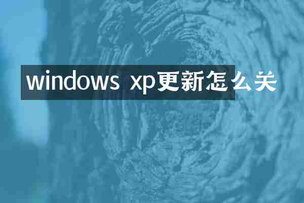 windows xp更新怎么关
