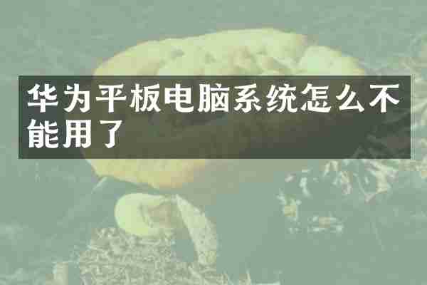 华为平板电脑系统怎么不能用了