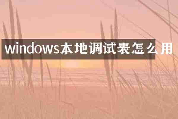 windows本地调试表怎么用