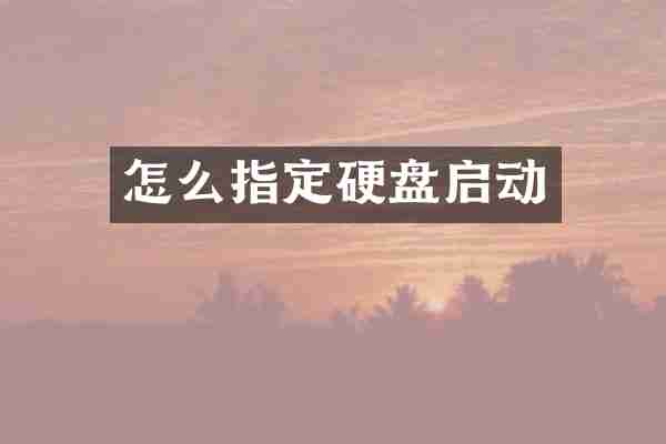 怎么指定硬盘启动