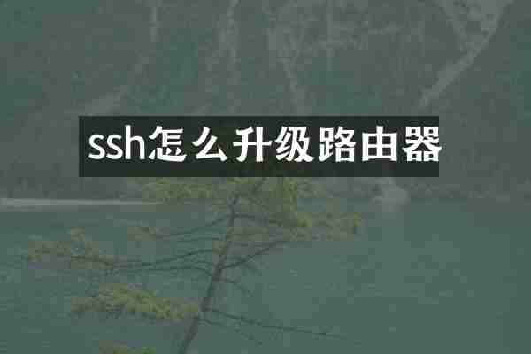 ssh怎么升级路由器