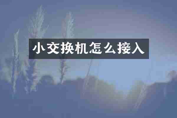 小交换机怎么接入
