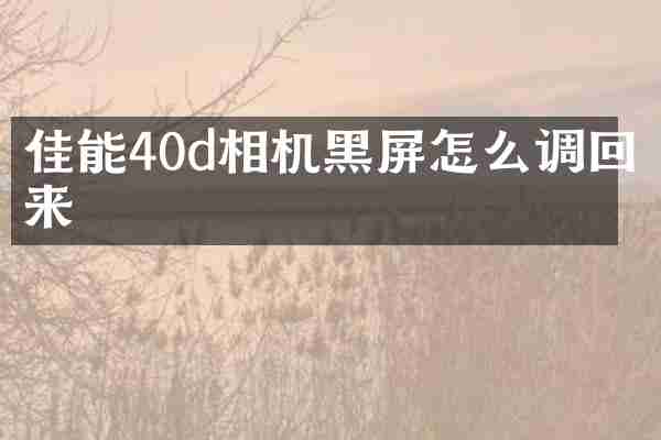 佳能40d相机黑屏怎么调回来