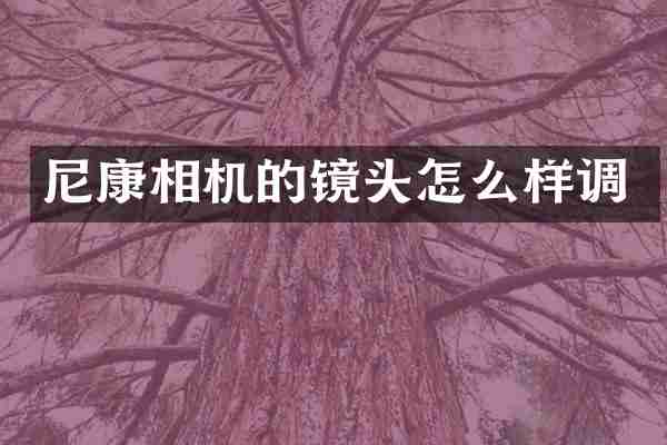 尼康相机的镜头怎么样调