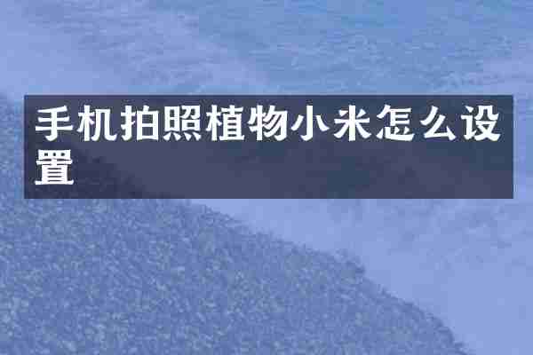 手机拍照植物小米怎么设置