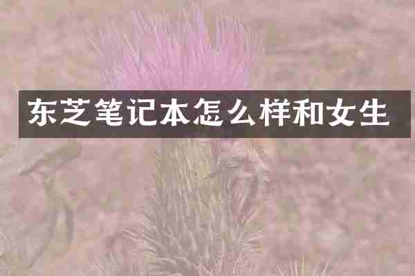 东芝笔记本怎么样和女生