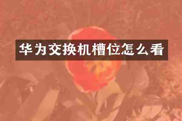 华为交换机槽位怎么看