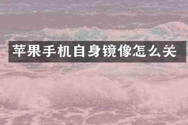 苹果手机自身镜像怎么关
