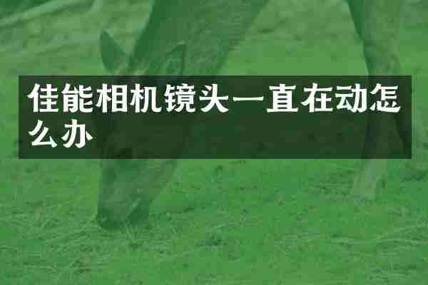 佳能相机镜头一直在动怎么办