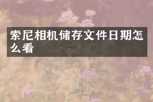 索尼相机储存文件日期怎么看