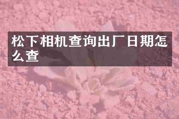 松下相机查询出厂日期怎么查