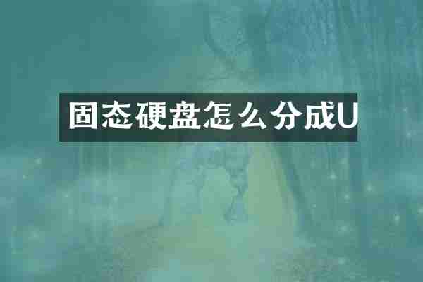 固态硬盘怎么分成U