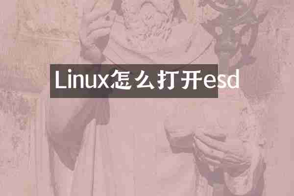 Linux怎么打开esd