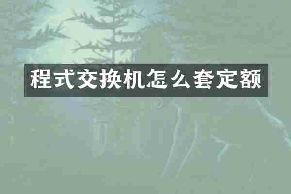 程式交换机怎么套定额