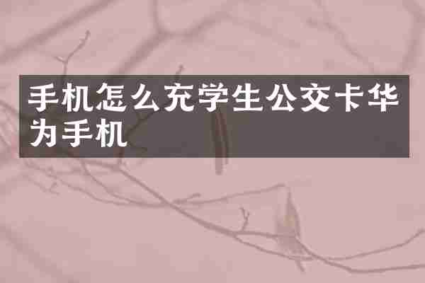 手机怎么充学生公交卡华为手机