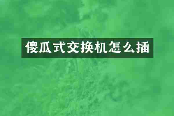傻瓜式交换机怎么插