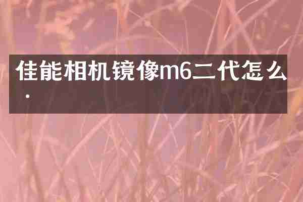 佳能相机镜像m6二代怎么样