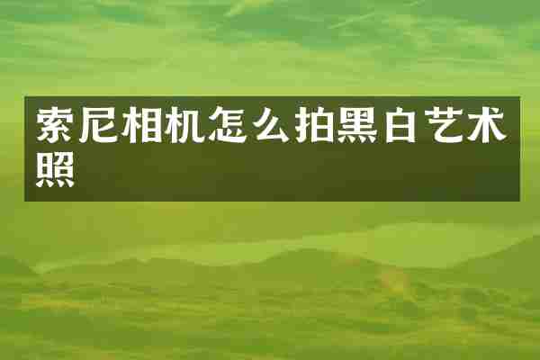 相机怎么拍黑白艺术照
