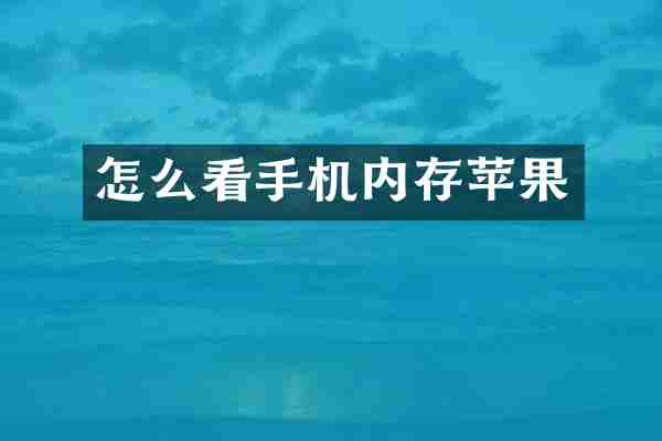 怎么看手机内存苹果