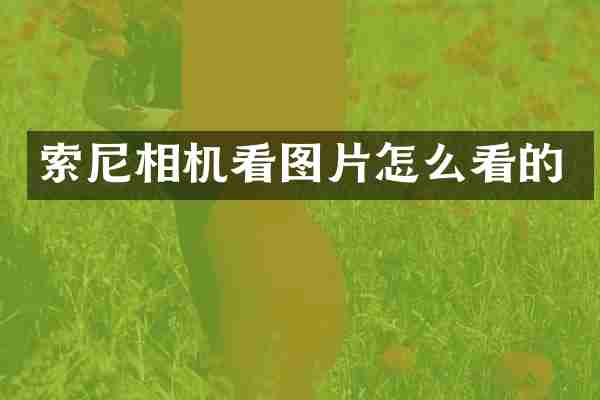 相机看图片怎么看的