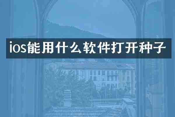 ios能用什么软件打开种子