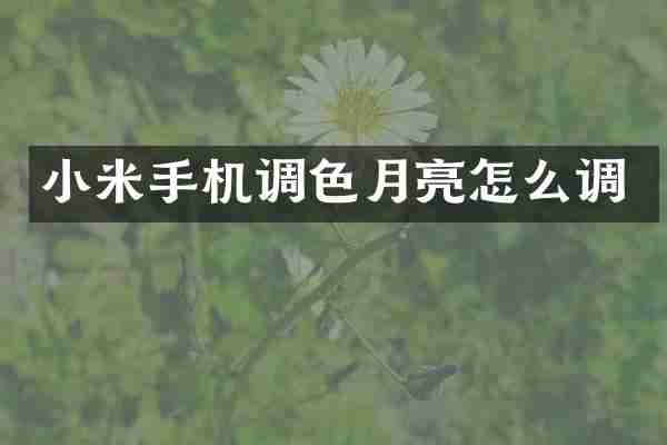 小米手机调色月亮怎么调