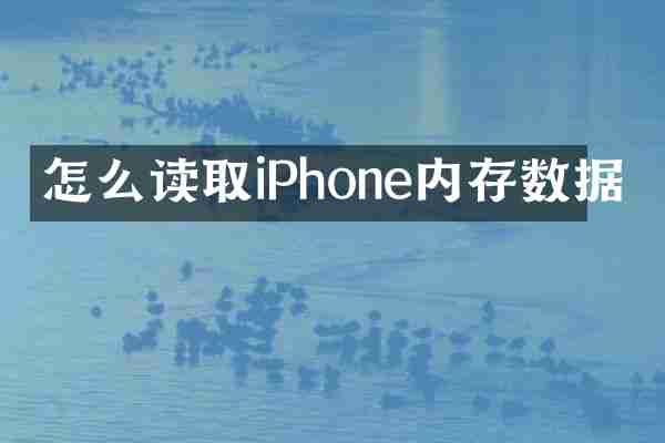 怎么读取iPhone内存数据