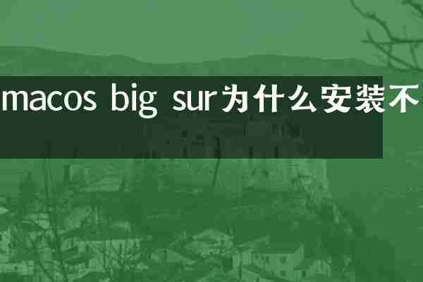 macos big sur为什么安装不了