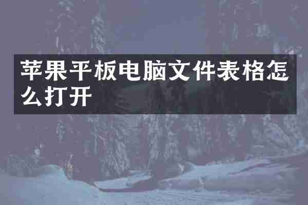 苹果平板电脑文件表格怎么打开