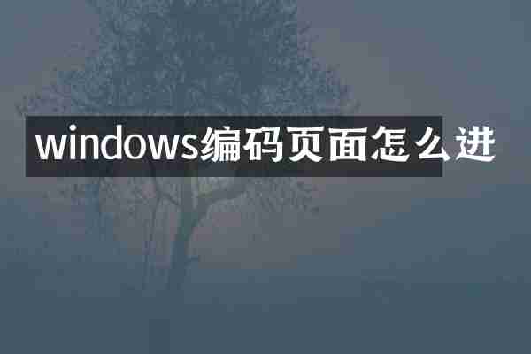 windows编码页面怎么进