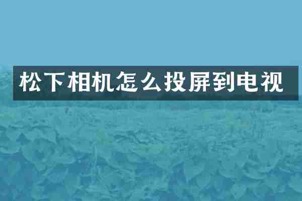 相机怎么投屏到电视