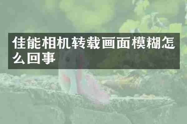 佳能相机转载画面模糊怎么回事