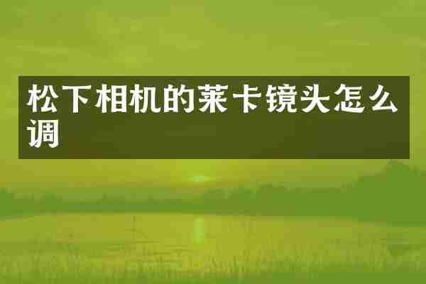 松下相机的莱卡镜头怎么调