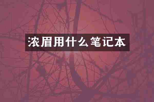 浓眉用什么笔记本