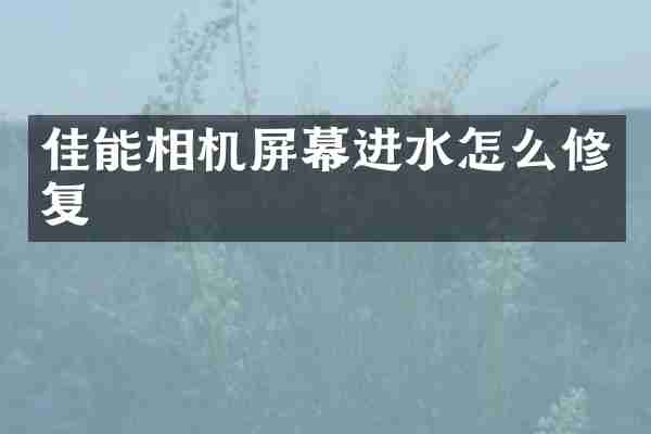 佳能相机屏幕进水怎么修复