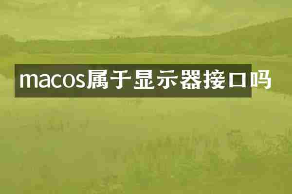 macos属于显示器接口吗