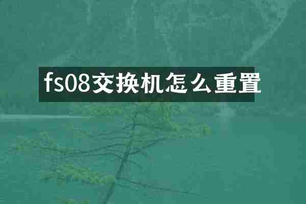 fs08交换机怎么重置