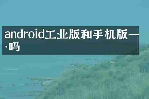 android工业版和手机版一样吗