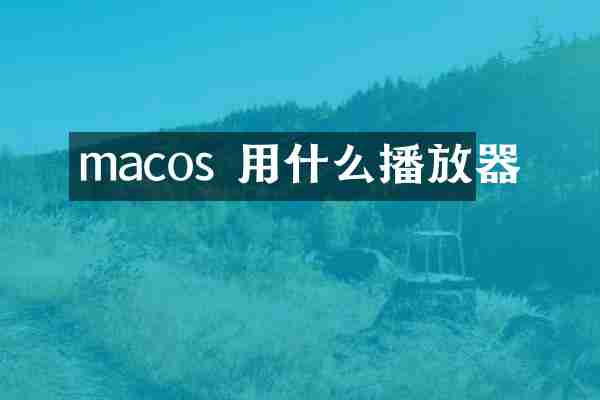 macos 用什么播放器