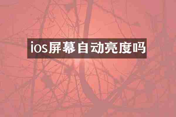 ios屏幕自动亮度吗