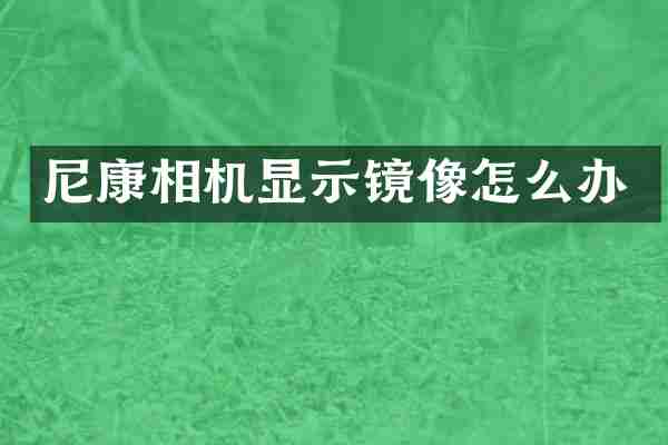 尼康相机显示镜像怎么办