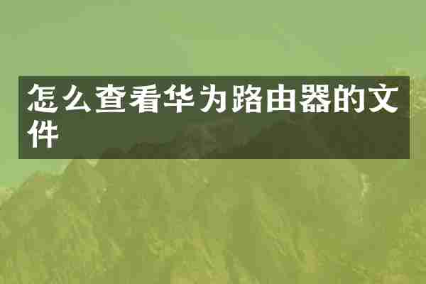 怎么查看华为路由器的文件