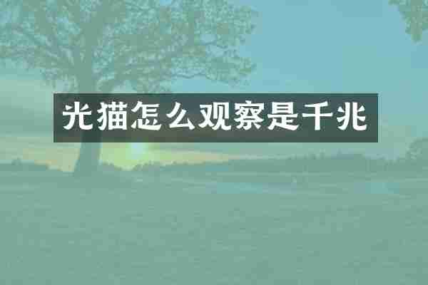 光猫怎么观察是千兆