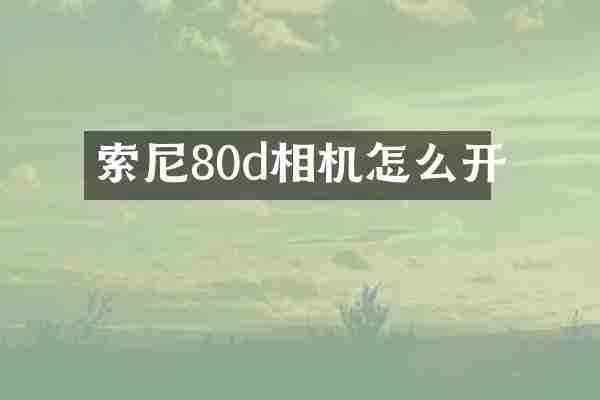 80d相机怎么开