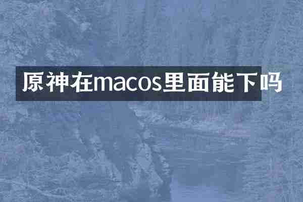 原神在macos里面能下吗